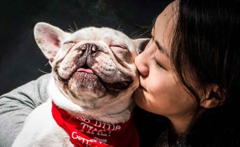 financing-benefits-pet-retail-business