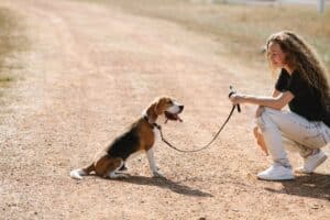 Top Five Reasons Financing Pet Training Services Makes Sense